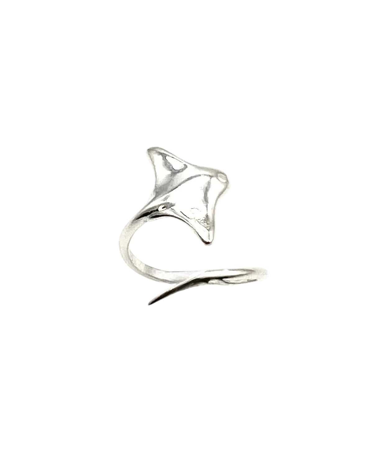 Anillo Voladora