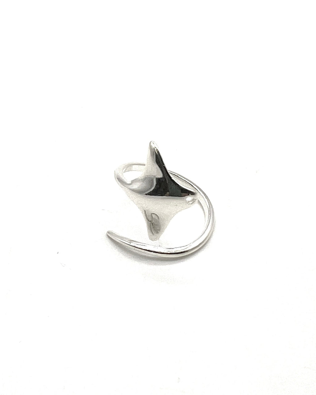 Anillo Voladora