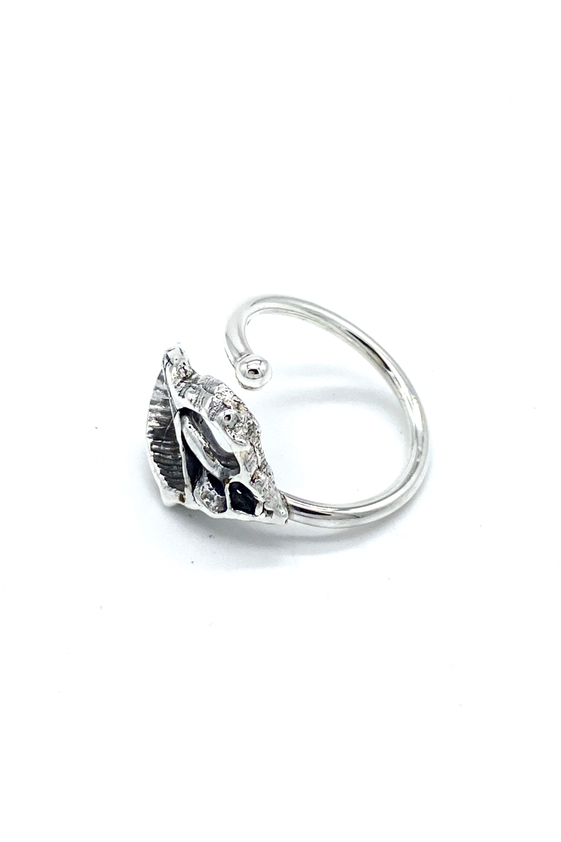 Anillo Caracoleando